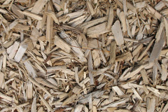biomass boilers Bacheldre